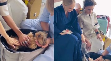 Angélica brinca com pet de Xuxa - Foto: Reprodução / Instagram